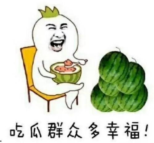 娱乐圈吃瓜的地方有哪些